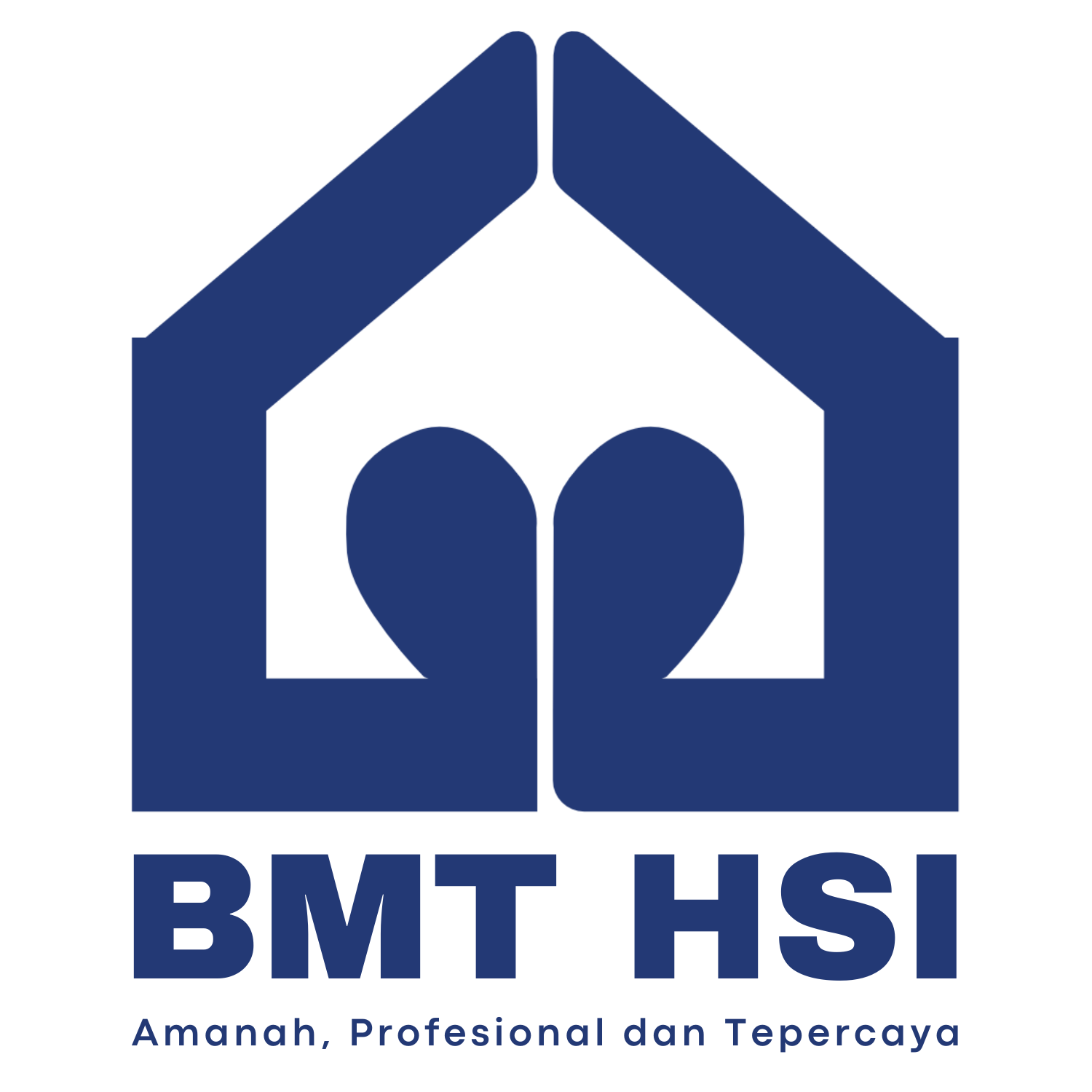 Logo BMT HSI